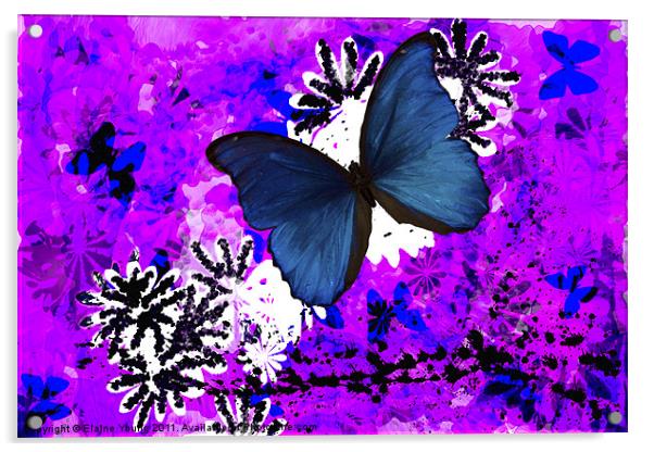 Butterfly Abstract Art Acrylic by Elaine Young
