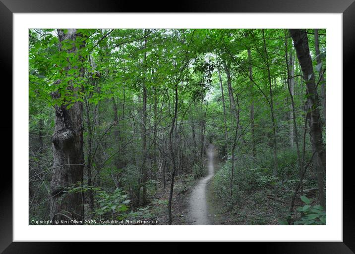Enchanted Path: Exploring the Hidden Woods Framed Mounted Print by Ken Oliver