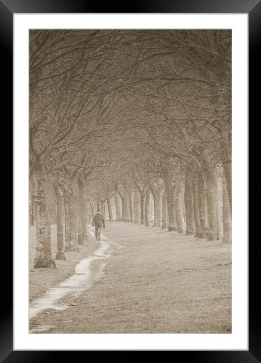 Winter Stroll - Sepia Framed Mounted Print by Glen Allen