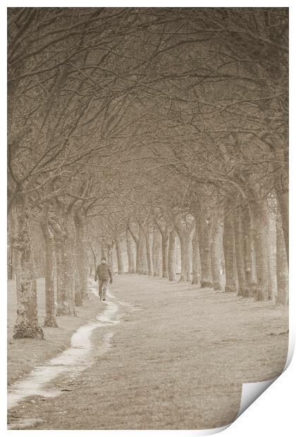 Winter Stroll - Sepia Print by Glen Allen