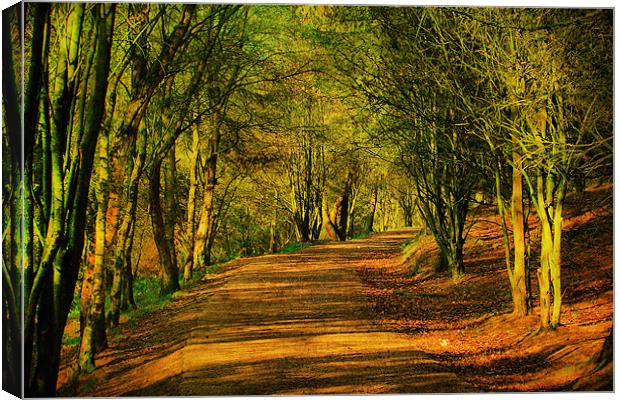 Coppice Pathway Canvas Print by Irene Burdell