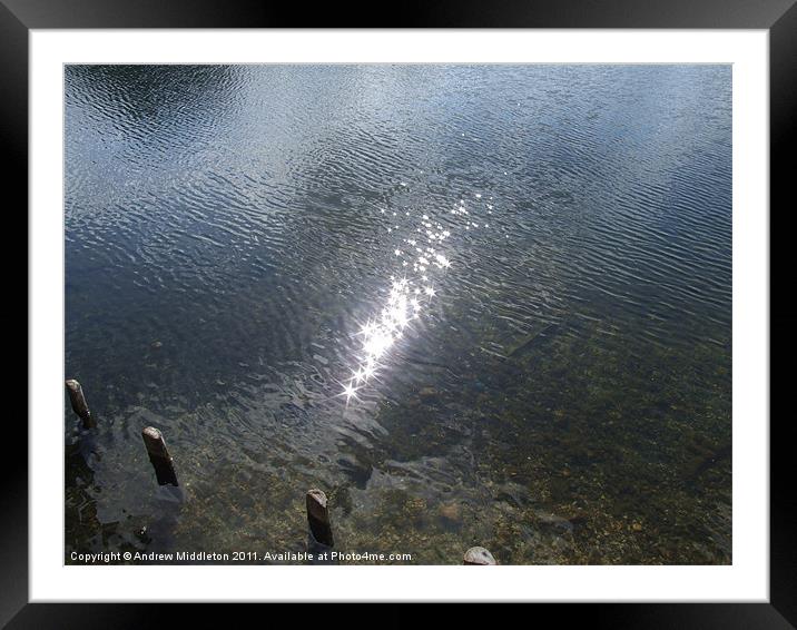 Reflexion Framed Mounted Print by Andrew Middleton