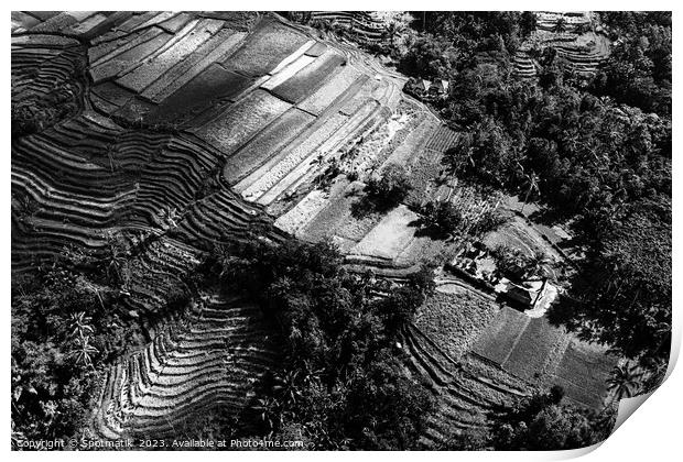 Aerial Bali Indonesia Ubud plantation rice terraces Asia Print by Spotmatik 