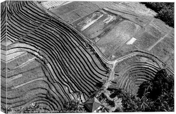 Aerial Bali plantation farming on rice terraces Indonesia Canvas Print by Spotmatik 