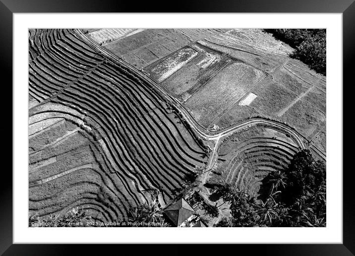 Aerial Bali plantation farming on rice terraces Indonesia Framed Mounted Print by Spotmatik 