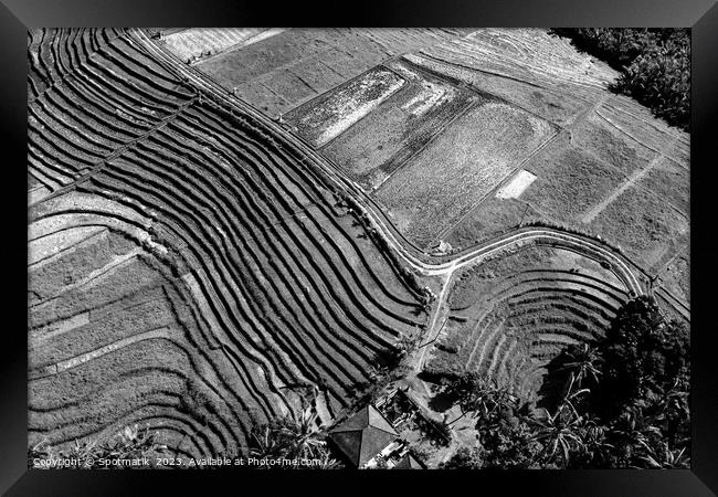 Aerial Bali plantation farming on rice terraces Indonesia Framed Print by Spotmatik 