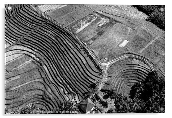 Aerial Bali plantation farming on rice terraces Indonesia Acrylic by Spotmatik 