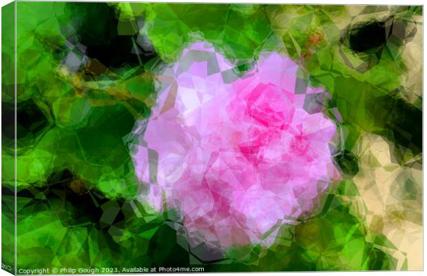 Blossom abstract Canvas Print by Philip Gough