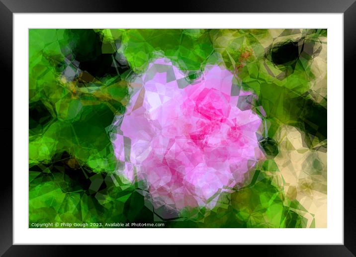 Blossom abstract Framed Mounted Print by Philip Gough