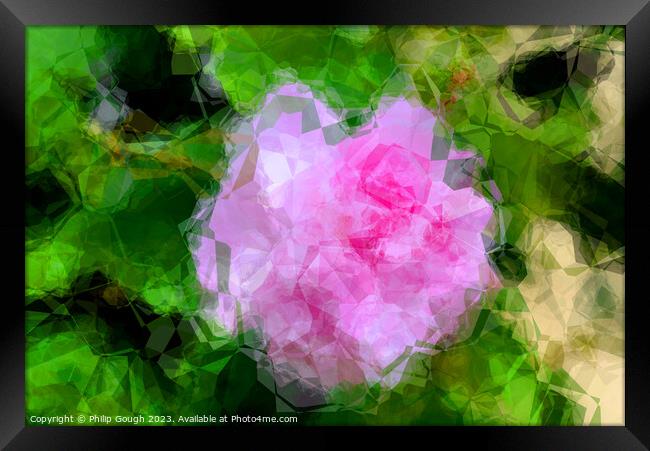 Blossom abstract Framed Print by Philip Gough