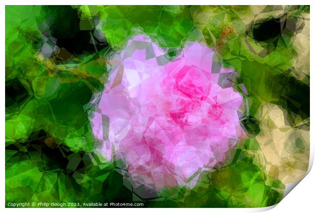 Blossom abstract Print by Philip Gough