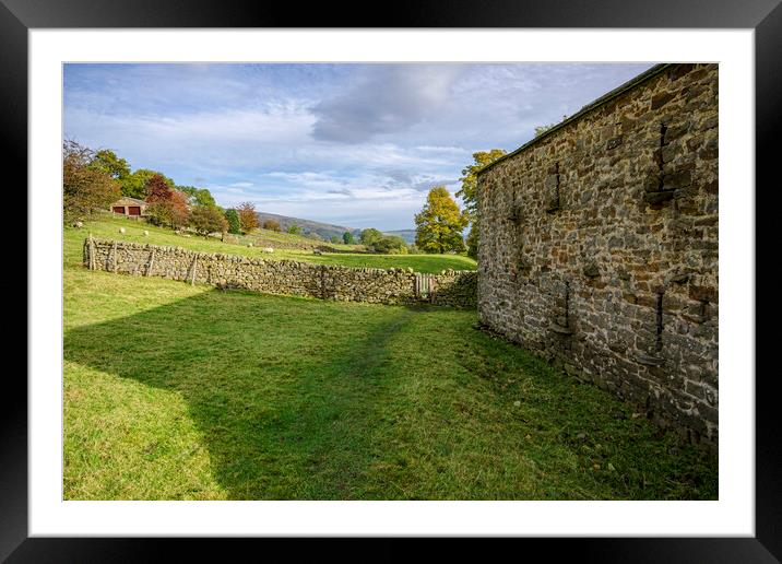 Serene Beauty of Healaugh Meadows Framed Mounted Print by Steve Smith