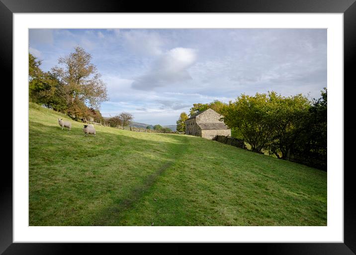 Discover the Serenity of Swaledale Framed Mounted Print by Steve Smith