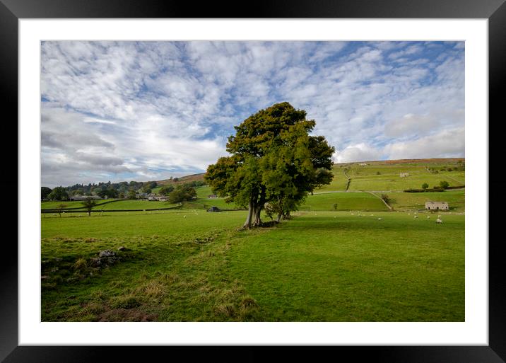 Healaugh, Swaledale Framed Mounted Print by Steve Smith