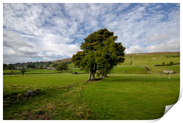 Healaugh, Swaledale Print by Steve Smith