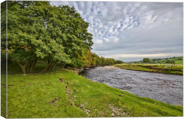 The River Swale Canvas Print by Steve Smith