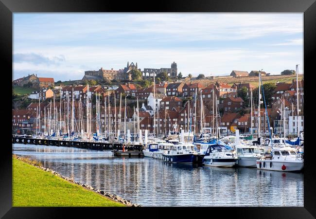 River Esk Yachting Marina to Whitby Abbey Framed Print by Tim Hill