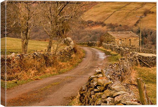 Country Lane Yorkshire Dales Canvas Print by Trevor Kersley RIP