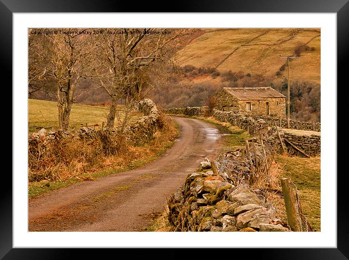 Country Lane Yorkshire Dales Framed Mounted Print by Trevor Kersley RIP