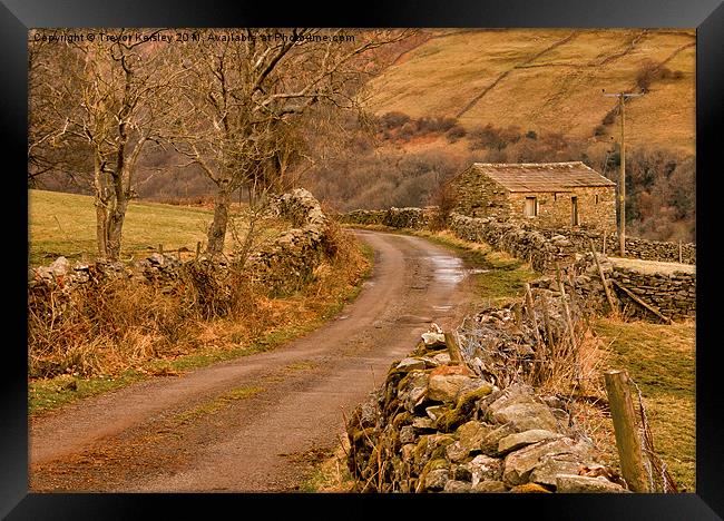 Country Lane Yorkshire Dales Framed Print by Trevor Kersley RIP