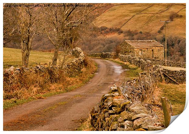 Country Lane Yorkshire Dales Print by Trevor Kersley RIP