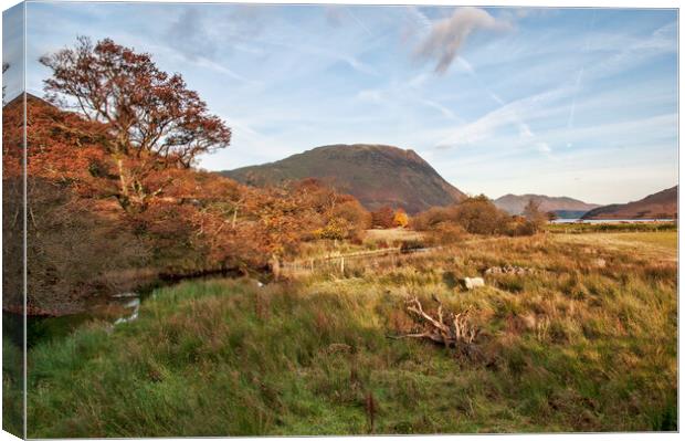 Views To Crummock Water Canvas Print by Steve Smith