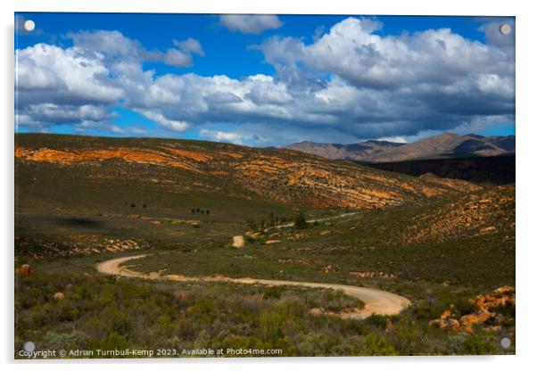 Winding road near Nuwekloof Pass, Bavianskloof mountains Acrylic by Adrian Turnbull-Kemp