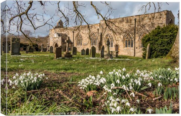 Snowdrops in St Marys Churchyard, Wycliffe, Teesdale Canvas Print by Richard Laidler