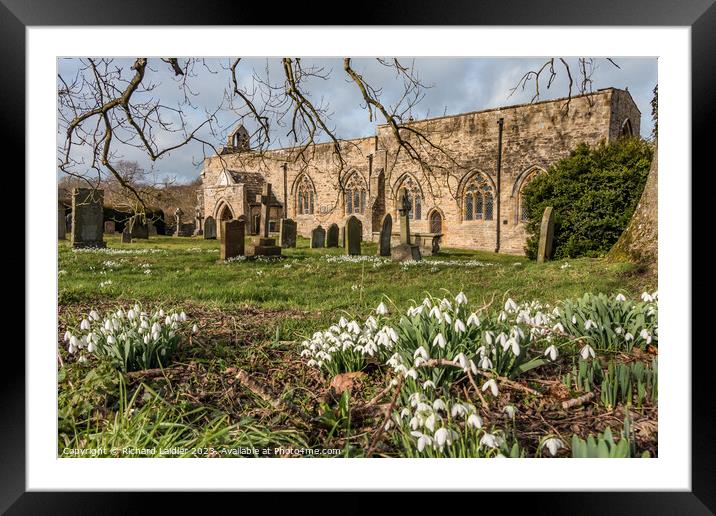 Snowdrops in St Marys Churchyard, Wycliffe, Teesdale Framed Mounted Print by Richard Laidler