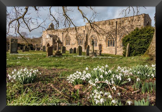 Snowdrops in St Marys Churchyard, Wycliffe, Teesdale Framed Print by Richard Laidler