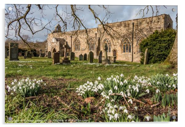 Snowdrops in St Marys Churchyard, Wycliffe, Teesdale Acrylic by Richard Laidler