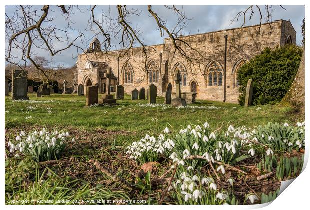 Snowdrops in St Marys Churchyard, Wycliffe, Teesdale Print by Richard Laidler