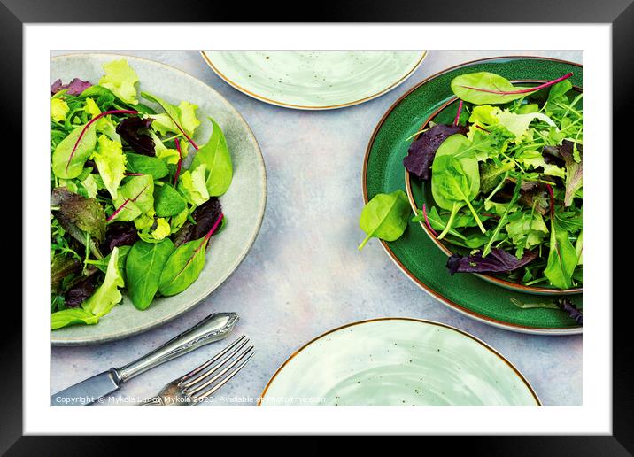 Fresh light green salad Framed Mounted Print by Mykola Lunov Mykola