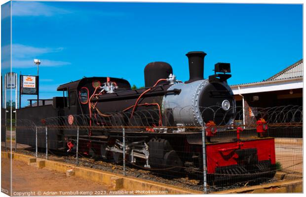 NG15 class steam locomotive Canvas Print by Adrian Turnbull-Kemp