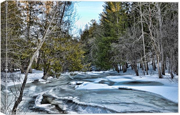 A Glimpse of Frozen Serenity Canvas Print by Ken Oliver