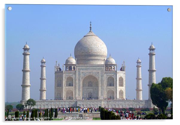 Visitors at the Taj Mahal Acrylic by Serena Bowles