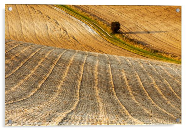 Furrows Acrylic by Slawek Staszczuk