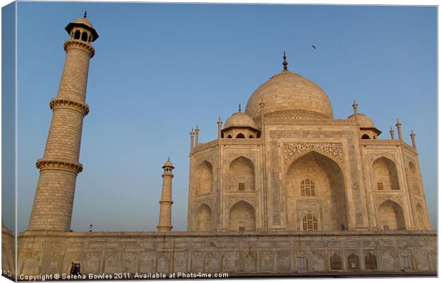Taj Mahal in the Morning Light, Agra, India Canvas Print by Serena Bowles
