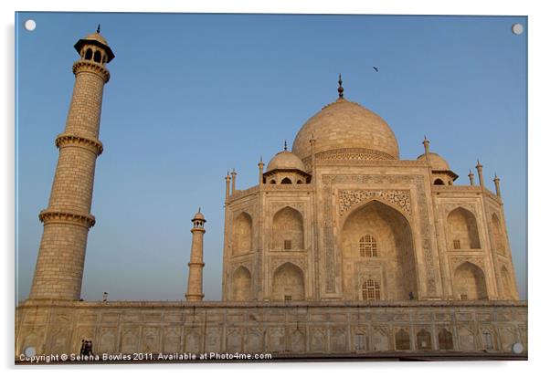 Taj Mahal in the Morning Light, Agra, India Acrylic by Serena Bowles