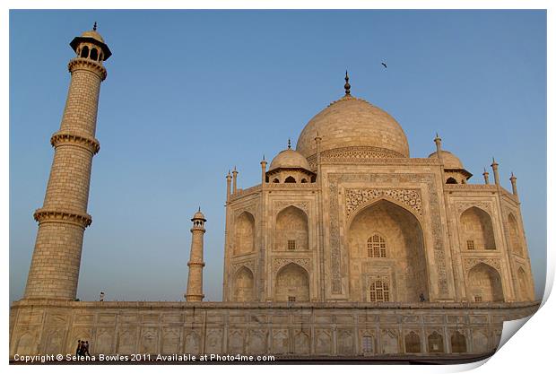 Taj Mahal in the Morning Light, Agra, India Print by Serena Bowles