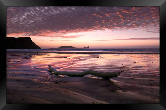 Driftwood on Rhossili Bay Framed Print by Leighton Collins