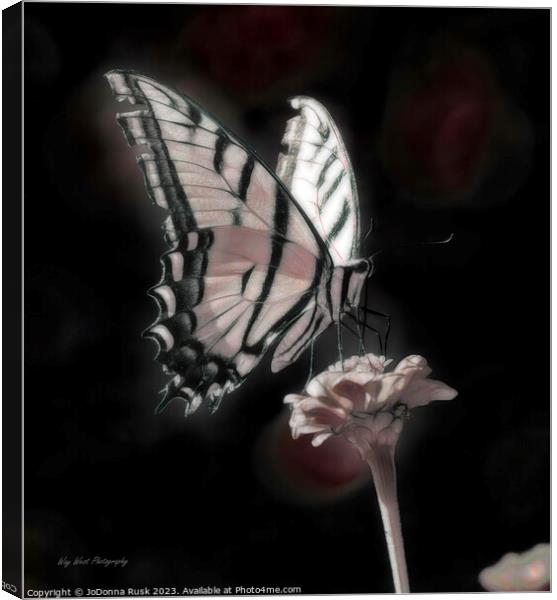 Phantom Butterfly Canvas Print by JoDonna Rusk