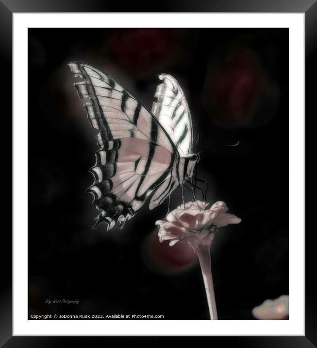 Phantom Butterfly Framed Mounted Print by JoDonna Rusk