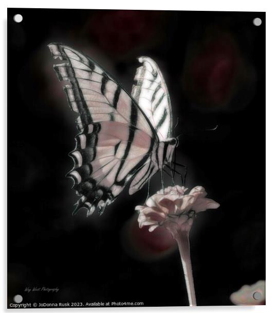 Phantom Butterfly Acrylic by JoDonna Rusk