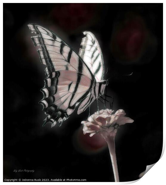Phantom Butterfly Print by JoDonna Rusk