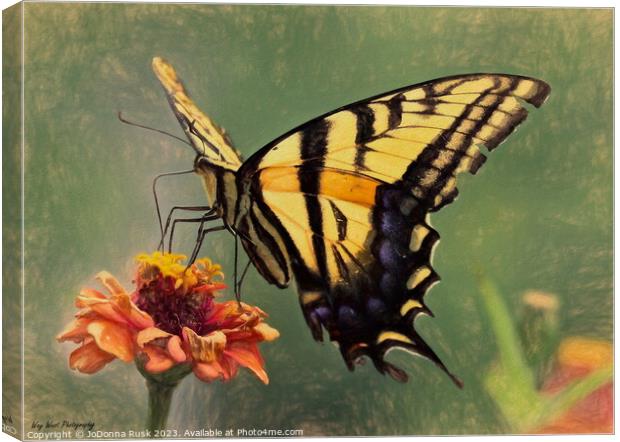 Swallowtail Painting Canvas Print by JoDonna Rusk