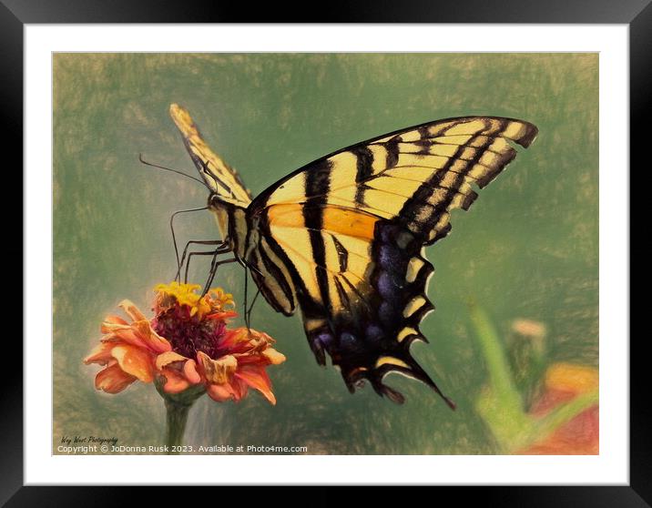 Swallowtail Painting Framed Mounted Print by JoDonna Rusk