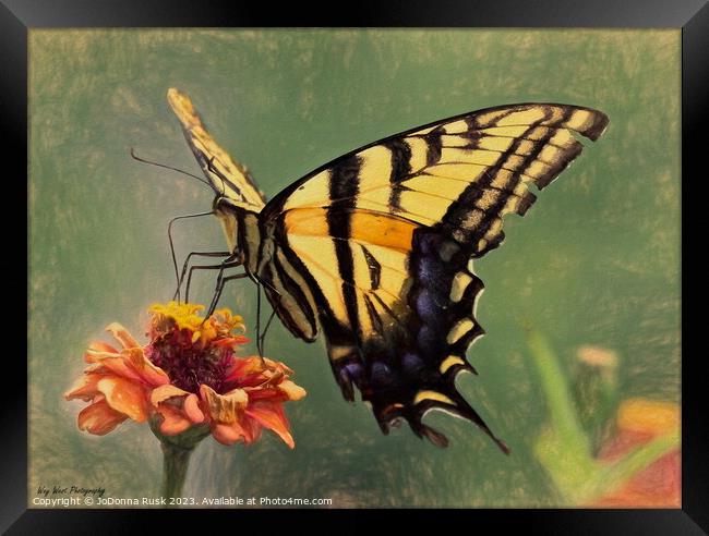 Swallowtail Painting Framed Print by JoDonna Rusk