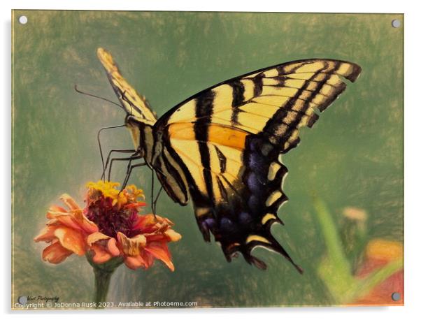 Swallowtail Painting Acrylic by JoDonna Rusk
