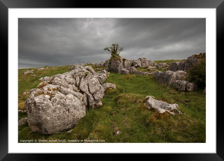 The Majestic Lone Tree Framed Mounted Print by Steven Nokes